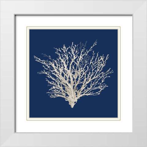 Navy Coral Medley II White Modern Wood Framed Art Print with Double Matting by Loreth, Lanie