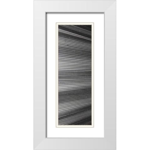 Threads II White Modern Wood Framed Art Print with Double Matting by Rodriguez, Jairo