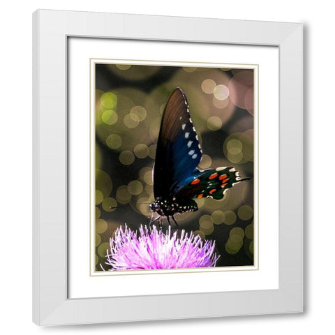 Butterfly Bokeh I White Modern Wood Framed Art Print with Double Matting by Mansfield, Kathy