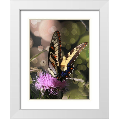 Butterfly Bokeh II White Modern Wood Framed Art Print with Double Matting by Mansfield, Kathy