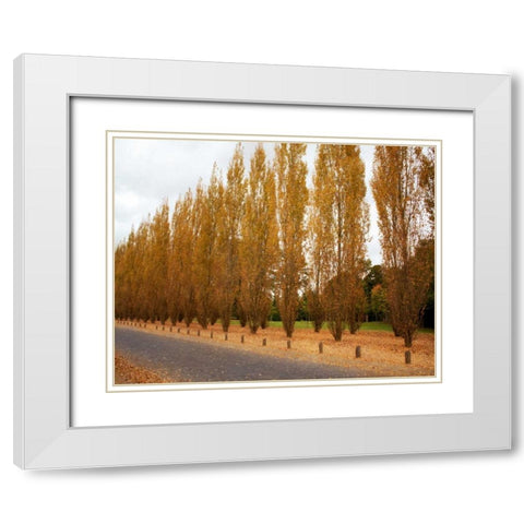 Versailles in Fall I White Modern Wood Framed Art Print with Double Matting by Navas, Emily