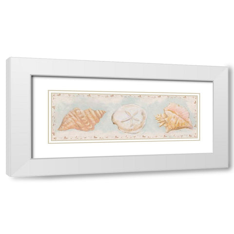 Sandy Shells II White Modern Wood Framed Art Print with Double Matting by Hakimipour, Tiffany