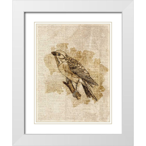 Vintage Bird I White Modern Wood Framed Art Print with Double Matting by Studio, Sd Graphics