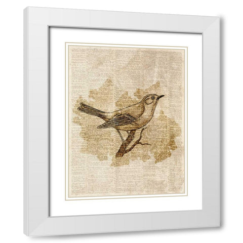 Vintage Bird II White Modern Wood Framed Art Print with Double Matting by Studio, Sd Graphics