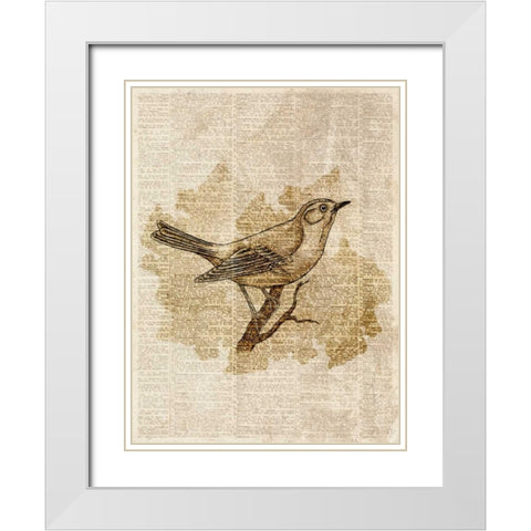 Vintage Bird II White Modern Wood Framed Art Print with Double Matting by Studio, Sd Graphics