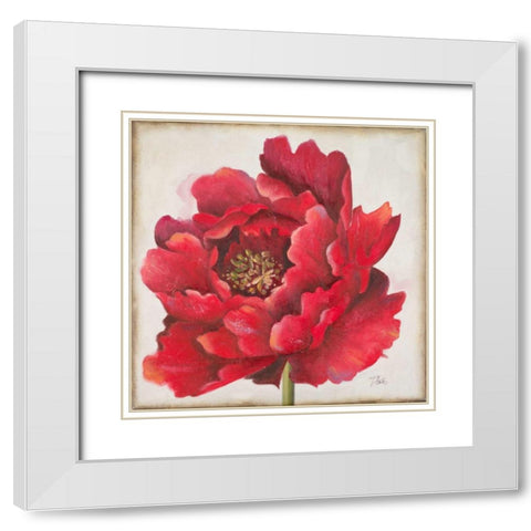 Red Peony White Modern Wood Framed Art Print with Double Matting by Pinto, Patricia