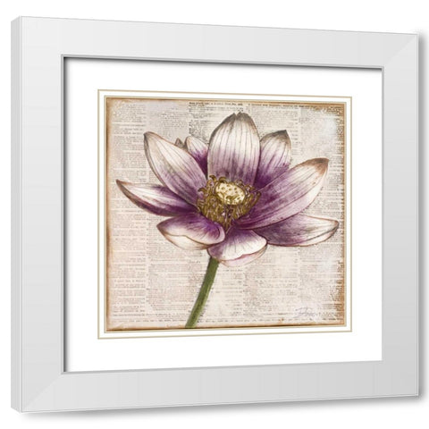 Defined Lotus II White Modern Wood Framed Art Print with Double Matting by Pinto, Patricia