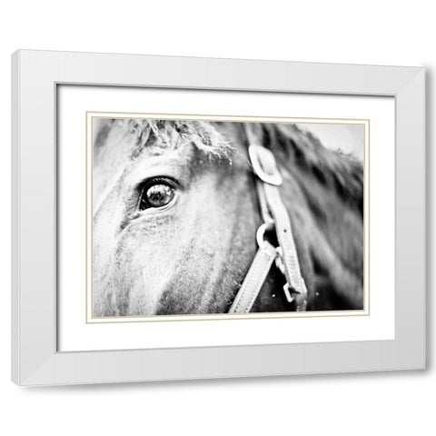 Horseback Riding I White Modern Wood Framed Art Print with Double Matting by Bryant, Susan