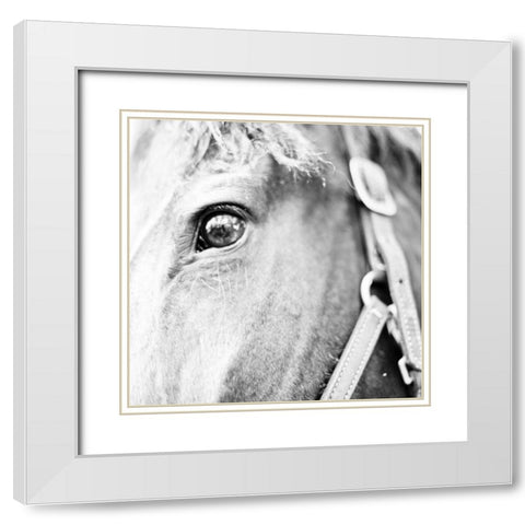 In the Stable I White Modern Wood Framed Art Print with Double Matting by Bryant, Susan