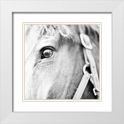 In the Stable I White Modern Wood Framed Art Print with Double Matting by Bryant, Susan