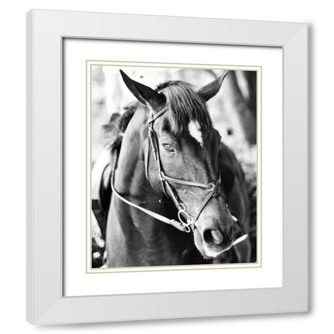 Derby I White Modern Wood Framed Art Print with Double Matting by Bryant, Susan
