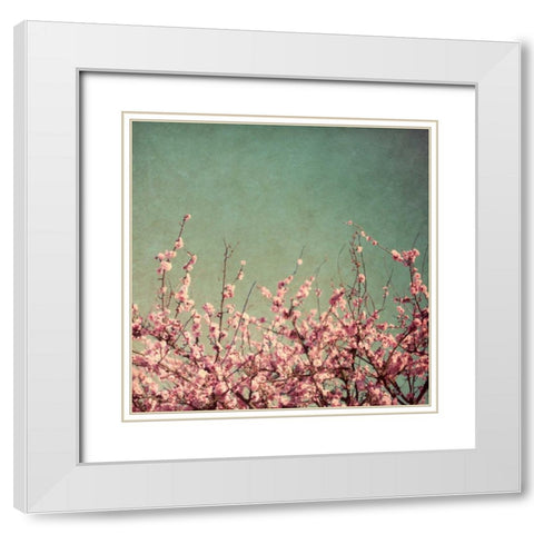 Springtime I White Modern Wood Framed Art Print with Double Matting by Bryant, Susan