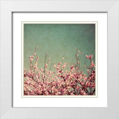 Springtime I White Modern Wood Framed Art Print with Double Matting by Bryant, Susan