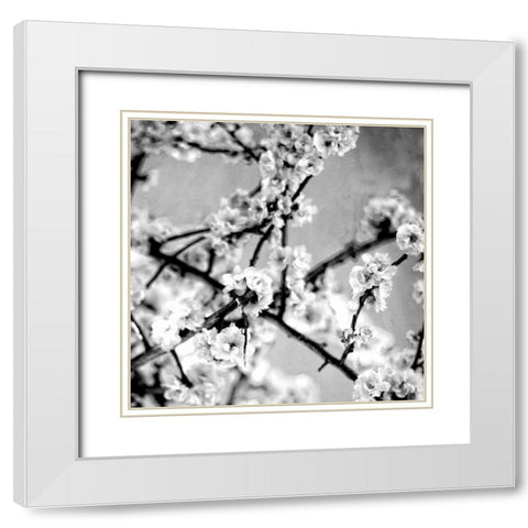 Black and White Blossoms I White Modern Wood Framed Art Print with Double Matting by Bryant, Susan