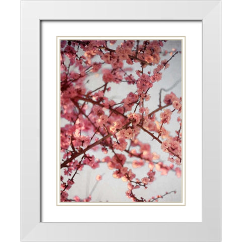 Cherry Blossoms I White Modern Wood Framed Art Print with Double Matting by Bryant, Susan