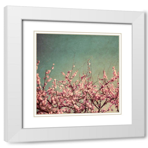 Springtime II White Modern Wood Framed Art Print with Double Matting by Bryant, Susan