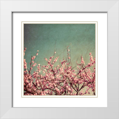 Springtime II White Modern Wood Framed Art Print with Double Matting by Bryant, Susan
