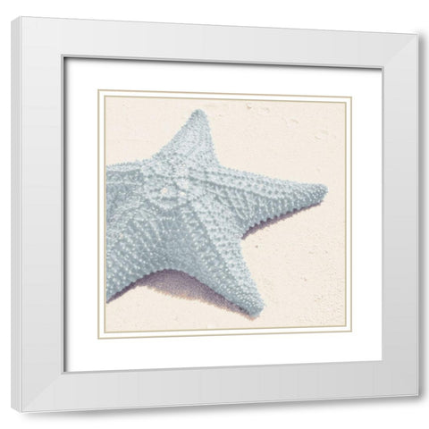 Blue Starfish White Modern Wood Framed Art Print with Double Matting by Mansfield, Kathy