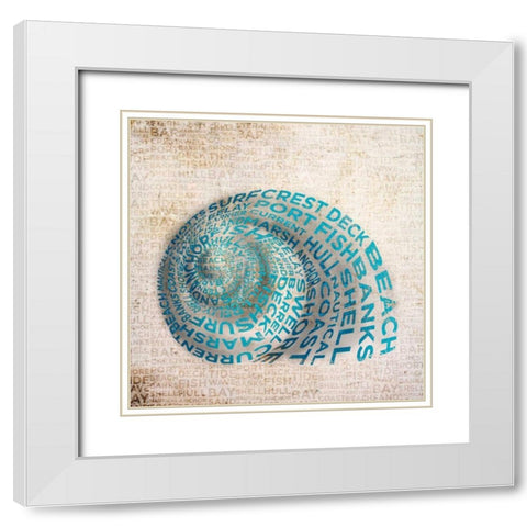 Shell Type II White Modern Wood Framed Art Print with Double Matting by Studio, Sd Graphics