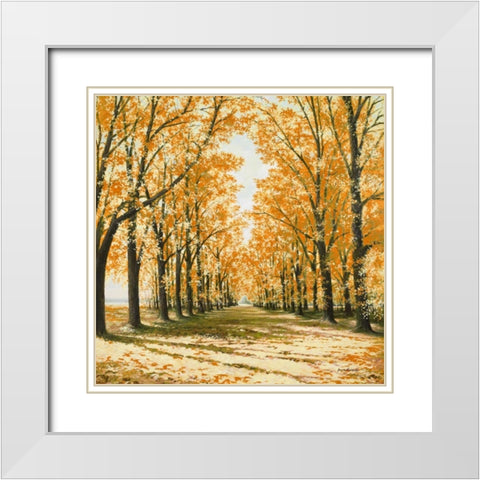Falls Cathedral White Modern Wood Framed Art Print with Double Matting by Nawrocke, Bruce