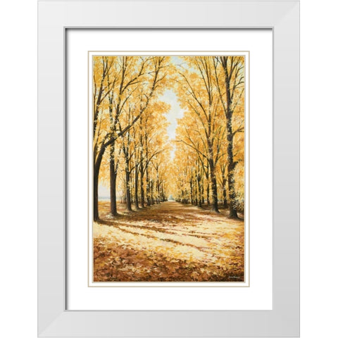 Falls Cathedral White Modern Wood Framed Art Print with Double Matting by Nawrocke, Bruce