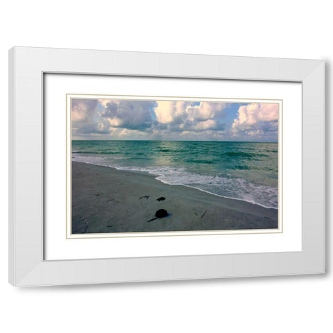 Emerald Sea White Modern Wood Framed Art Print with Double Matting by Peck, Gail