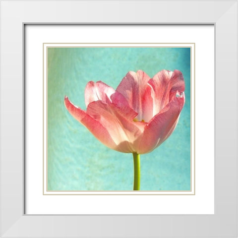 Pink Tulip White Modern Wood Framed Art Print with Double Matting by Peck, Gail