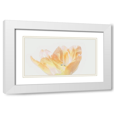 Happy Birthday White Modern Wood Framed Art Print with Double Matting by Peck, Gail