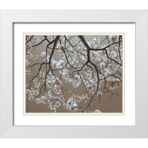 White Blossoms White Modern Wood Framed Art Print with Double Matting by Peck, Gail