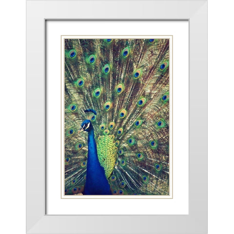 Royally Blue I White Modern Wood Framed Art Print with Double Matting by Peck, Gail