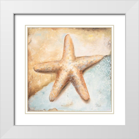 Seashell Collection II White Modern Wood Framed Art Print with Double Matting by Pinto, Patricia