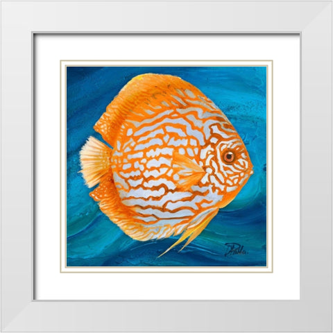 Vibrant Sea Life II White Modern Wood Framed Art Print with Double Matting by Pinto, Patricia