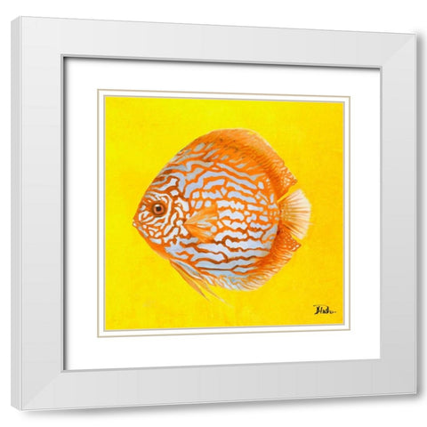 Bright Aquatic Life IV White Modern Wood Framed Art Print with Double Matting by Pinto, Patricia