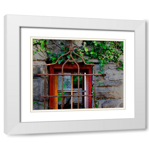 Behind Bars White Modern Wood Framed Art Print with Double Matting by Peck, Gail