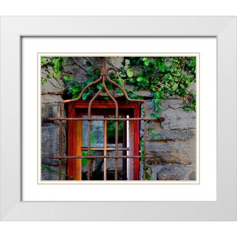 Behind Bars White Modern Wood Framed Art Print with Double Matting by Peck, Gail