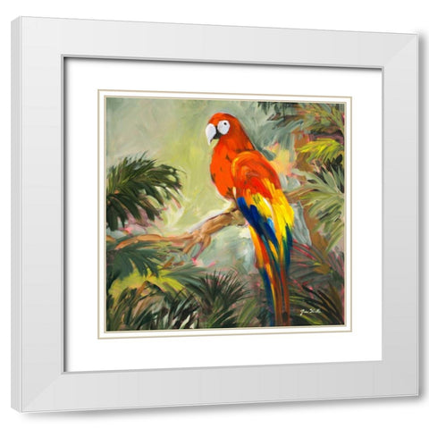 Parrots at Bay I White Modern Wood Framed Art Print with Double Matting by Slivka, Jane