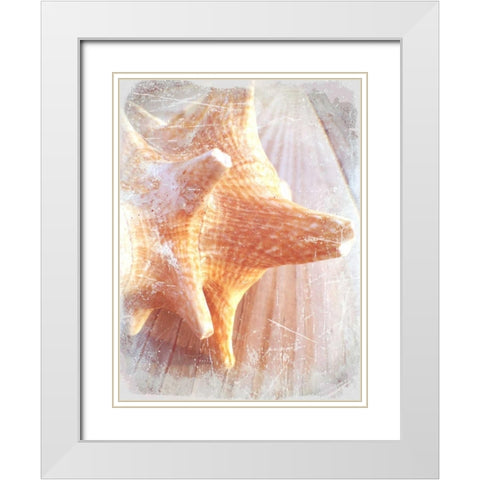 Conch II White Modern Wood Framed Art Print with Double Matting by Saghini, Lisa Hill