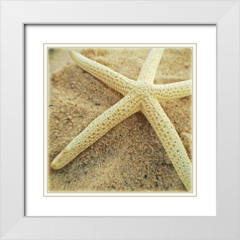 Starfish White Modern Wood Framed Art Print with Double Matting by Saghini, Lisa Hill