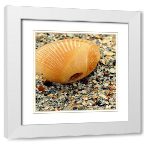 Sea Glass I White Modern Wood Framed Art Print with Double Matting by Saghini, Lisa Hill