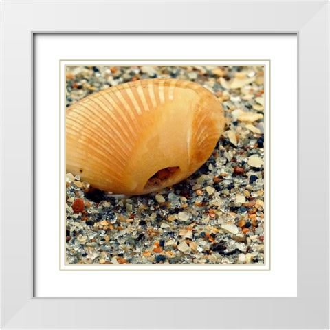 Sea Glass I White Modern Wood Framed Art Print with Double Matting by Saghini, Lisa Hill