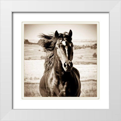 On the Run White Modern Wood Framed Art Print with Double Matting by Walker, Carol