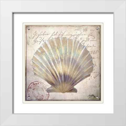 Beach Shell I White Modern Wood Framed Art Print with Double Matting by Medley, Elizabeth