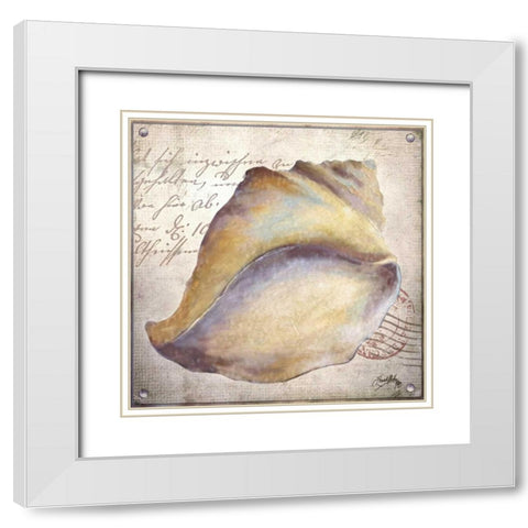 Beach Shell II White Modern Wood Framed Art Print with Double Matting by Medley, Elizabeth