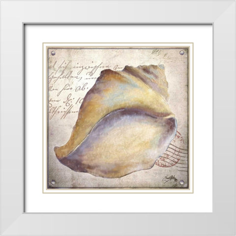 Beach Shell II White Modern Wood Framed Art Print with Double Matting by Medley, Elizabeth