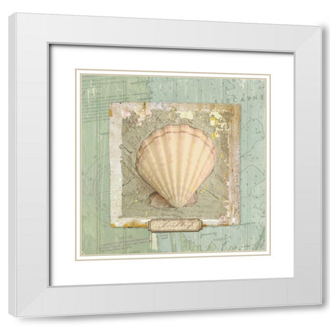 Seashore Collection II White Modern Wood Framed Art Print with Double Matting by Medley, Elizabeth