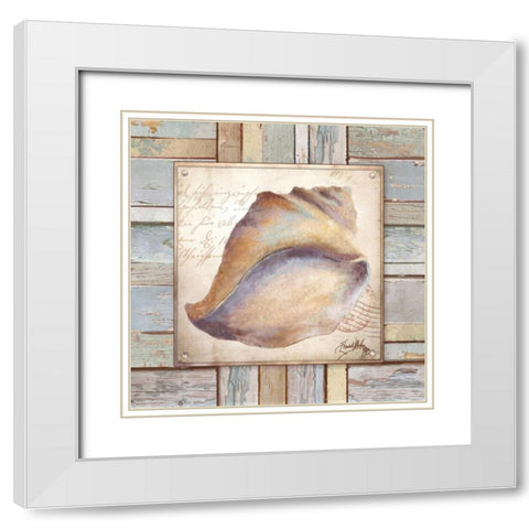 Beach Shell II White Modern Wood Framed Art Print with Double Matting by Medley, Elizabeth