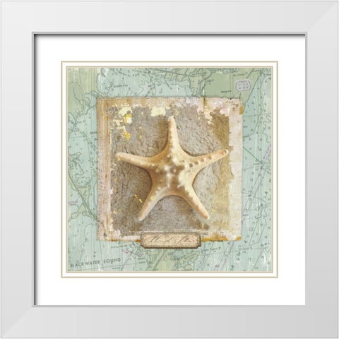 Seashore Collection III White Modern Wood Framed Art Print with Double Matting by Medley, Elizabeth