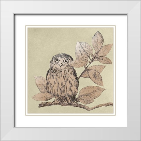 Neutral Little Owls I White Modern Wood Framed Art Print with Double Matting by Pinto, Patricia