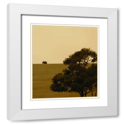 Elephant Pack III White Modern Wood Framed Art Print with Double Matting by Bryant, Susan