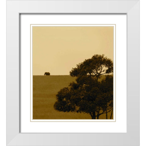 Elephant Pack III White Modern Wood Framed Art Print with Double Matting by Bryant, Susan